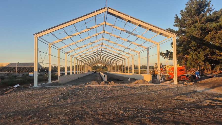 Agrícola Mollendo — Galpón de compostaje · Salto del Laja